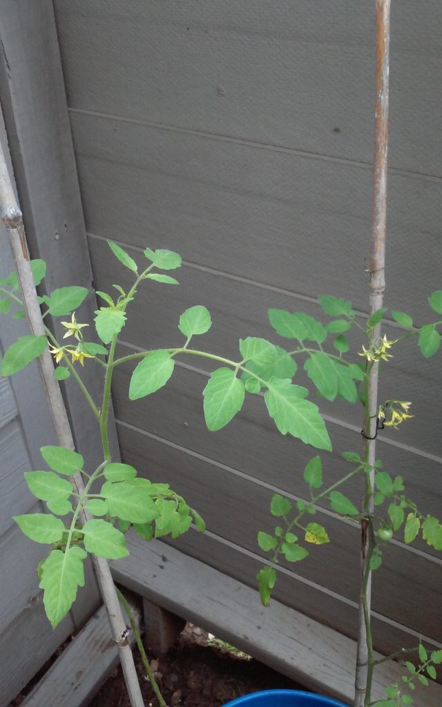 20160614_093753