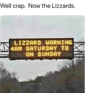 Now The Lizzards