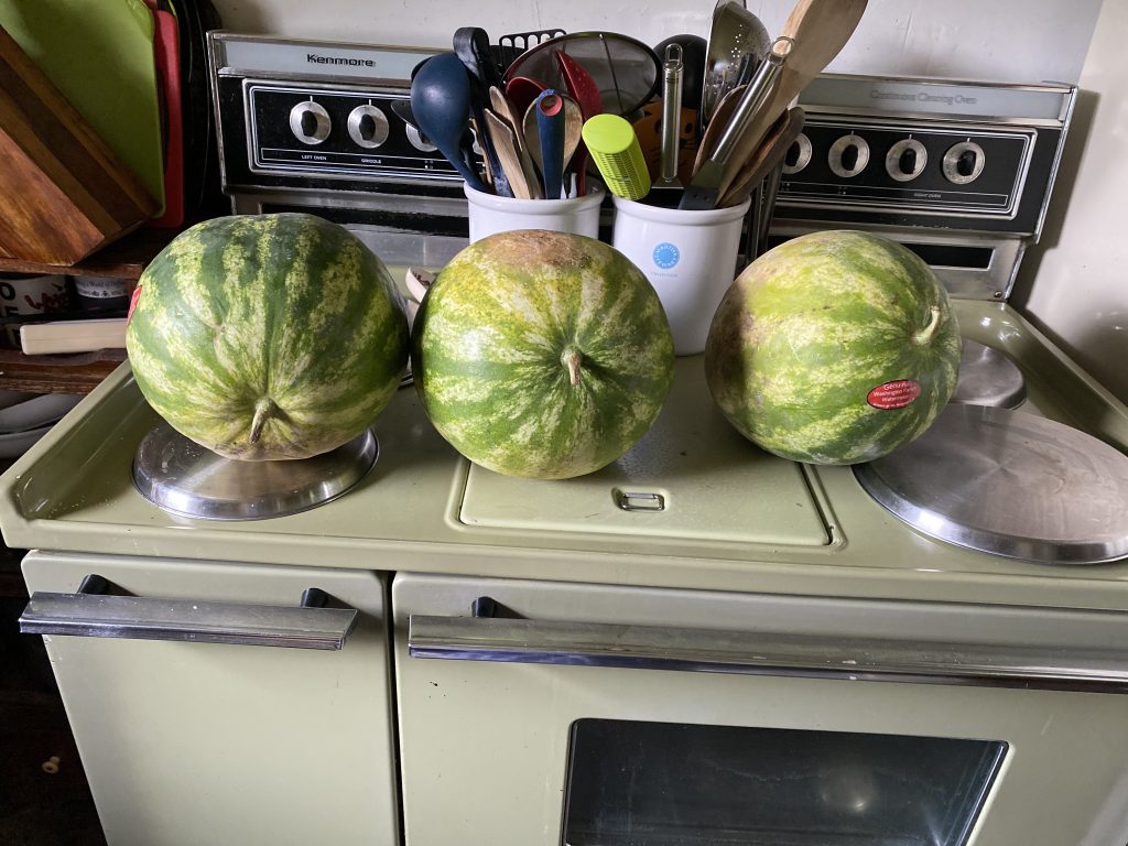 Three watermelons on the stove