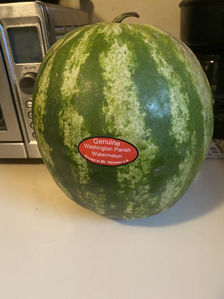 One watermelon with sticker