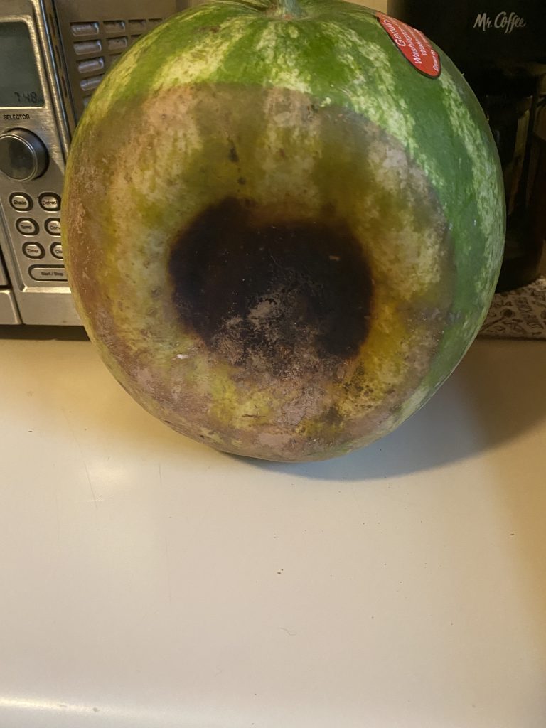 Burned bottom of a watermelon