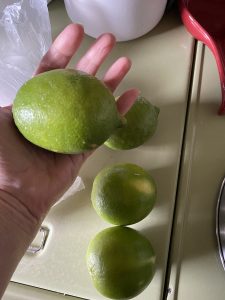 Large lime in palm of hand
