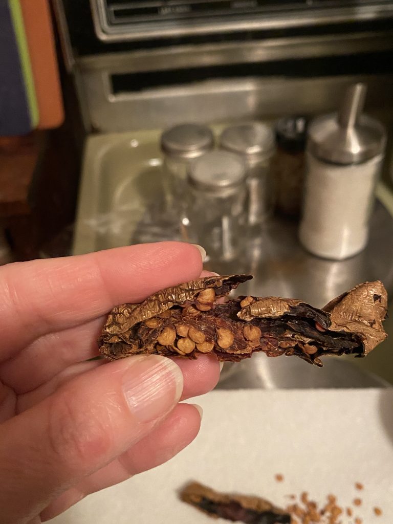 Cut open dried chipotle pepper