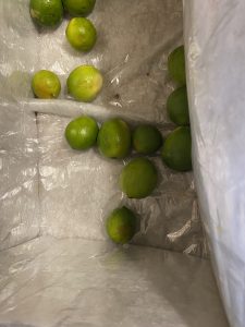 Limes in box from Misfits Market