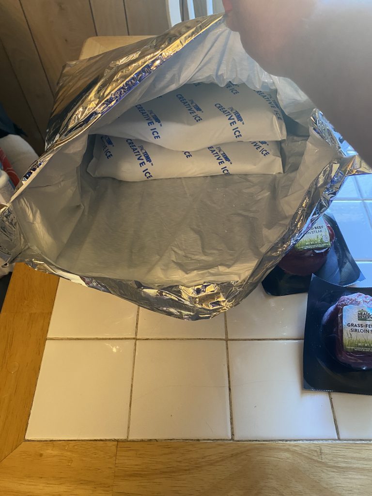 Two ice packs inside a thermal cold pack for meat