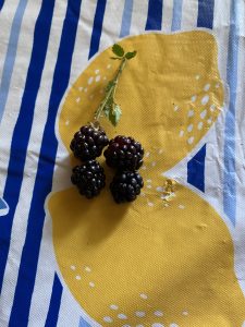 Four ripe blackberries on a tablecloth