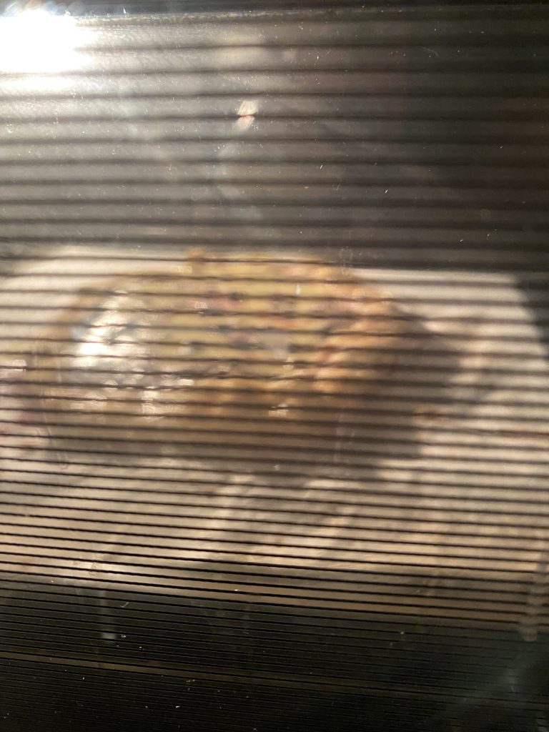 Galette baking in oven