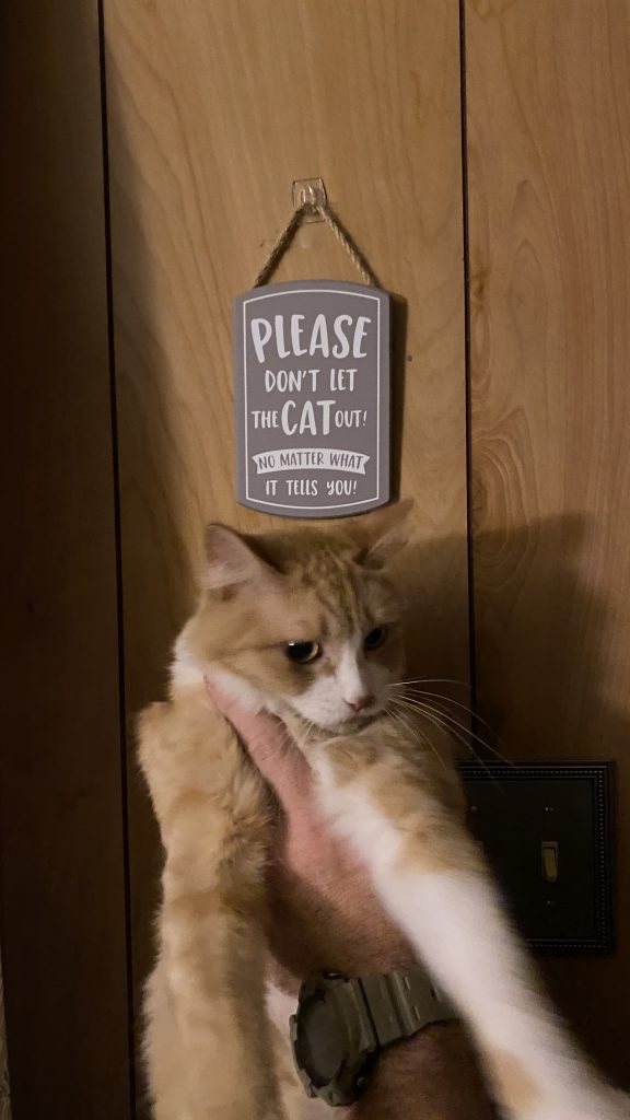 Cat held up next to a sign telling you not to let her out