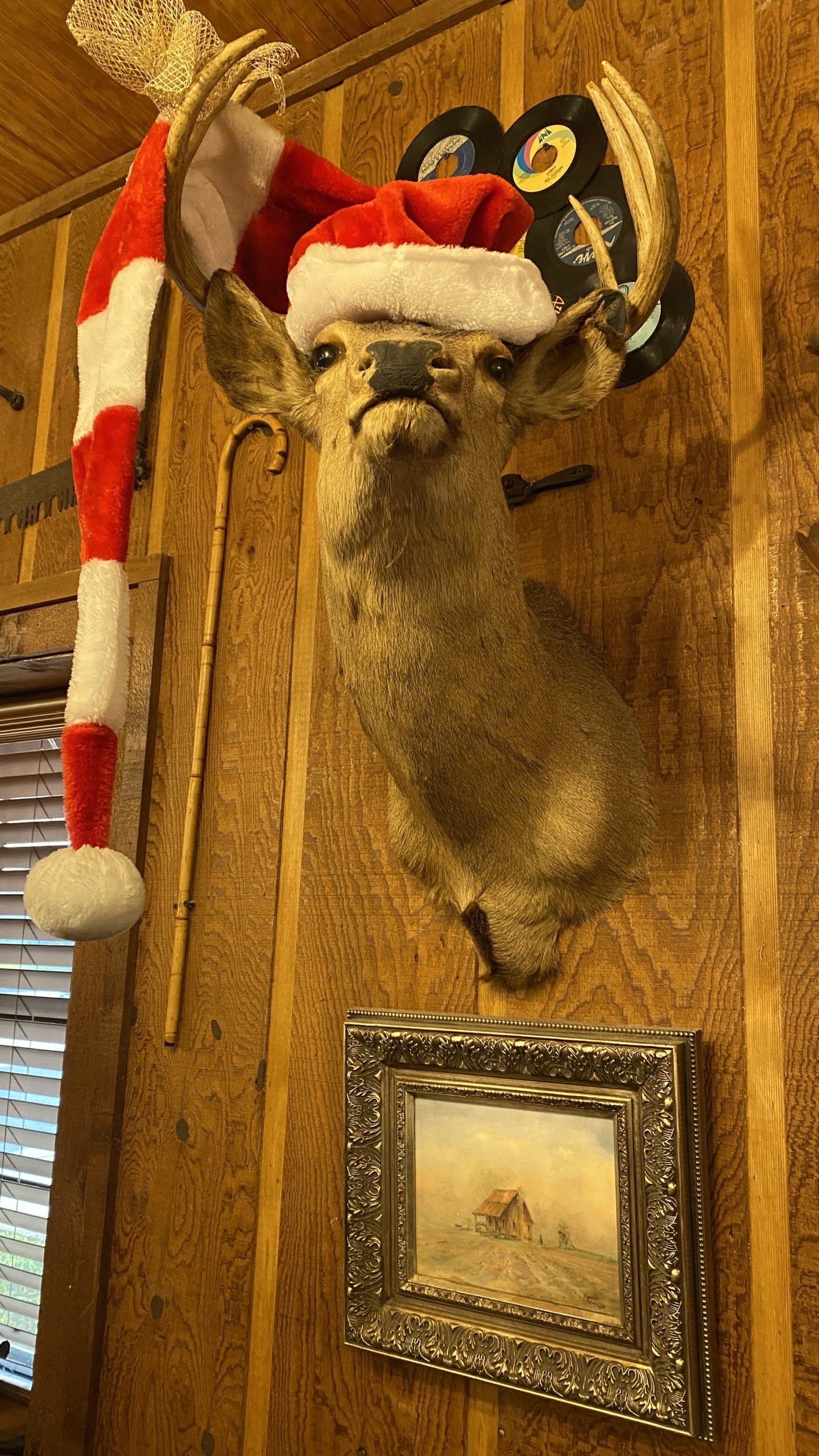 Stuffed deer head on a wall with a Santa hat at Frank's